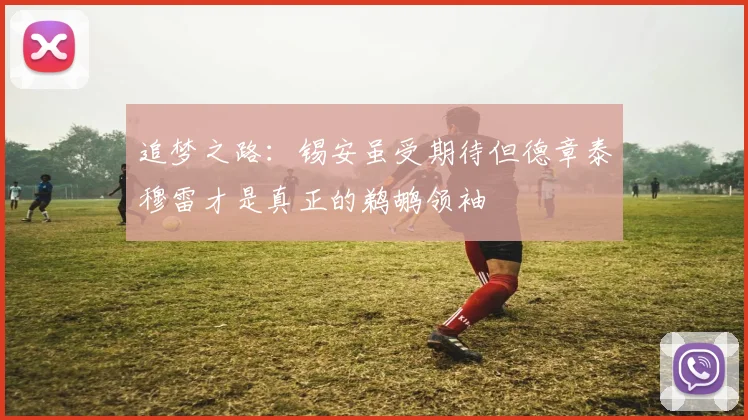 追梦之路：锡安虽受期待但德章泰穆雷才是真正的鹈鹕领袖
